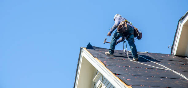 Best Roof Gutter Cleaning  in Vicksburg, MI